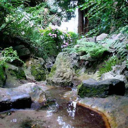 La Source Fleurie Couette-café Profondeville